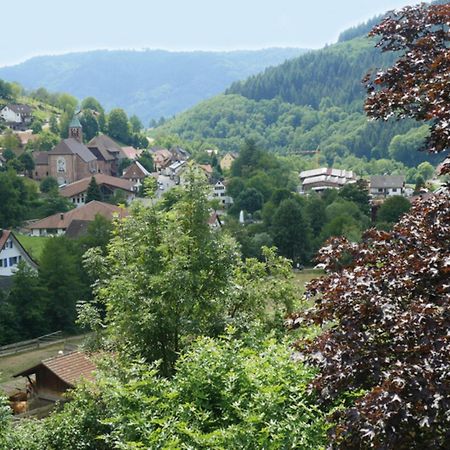 Appartement Schnurrenhof à Seebach Extérieur photo