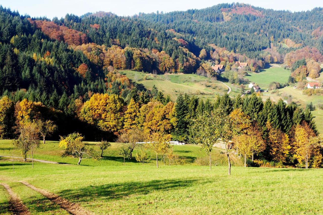 Appartement Schnurrenhof à Seebach Extérieur photo