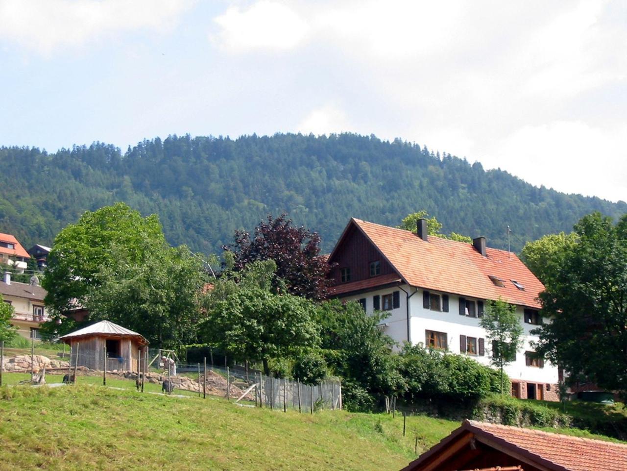 Appartement Schnurrenhof à Seebach Extérieur photo
