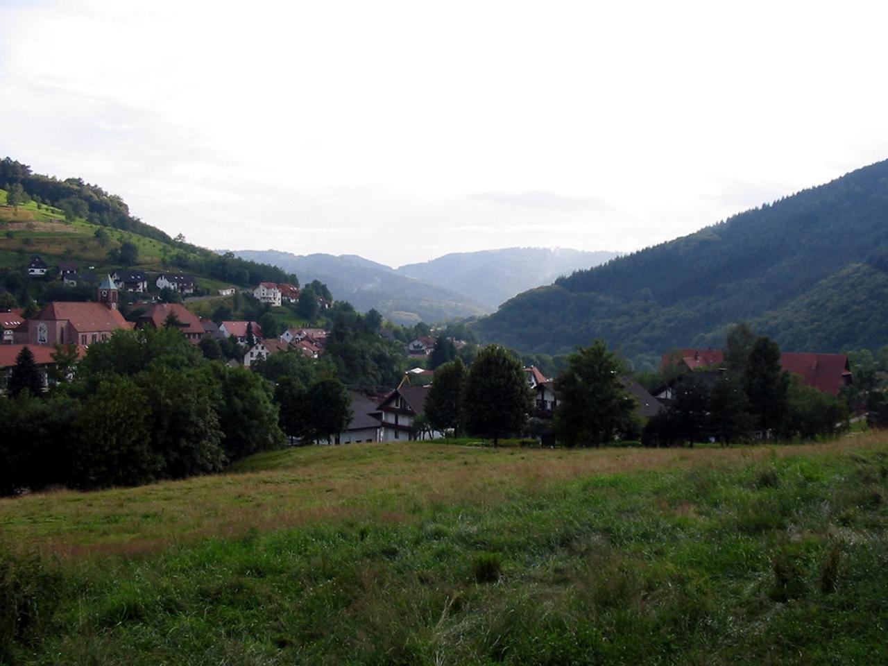 Appartement Schnurrenhof à Seebach Extérieur photo